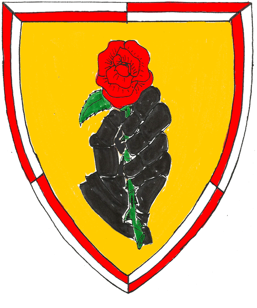 The arms of Achmed Shaban
