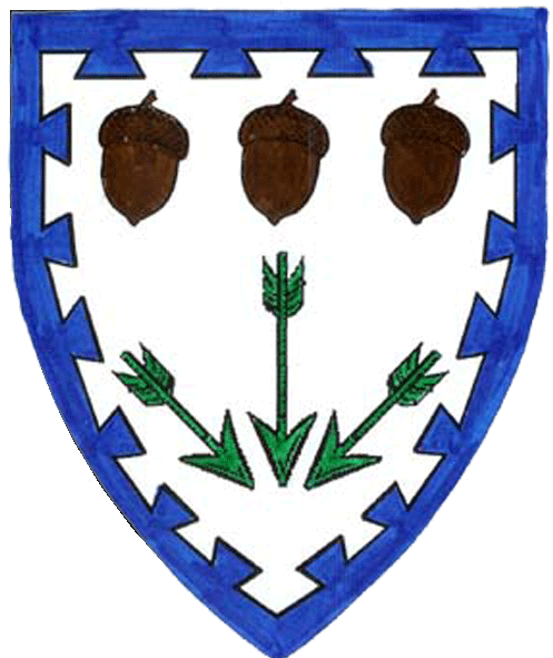 The arms of Ailill mac Duib Dara