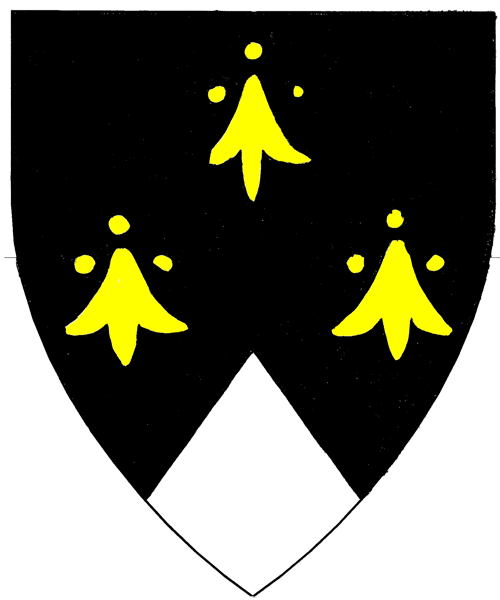 The arms of Apel von Mülln