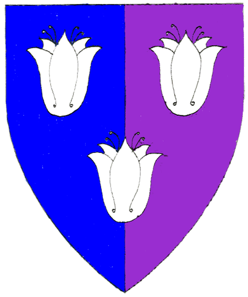 The arms of Arnóra Tryggvadóttir