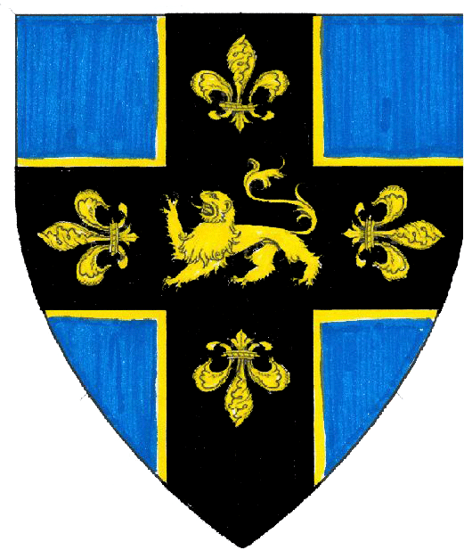 The arms of Brynhildr kj{o,}lfari