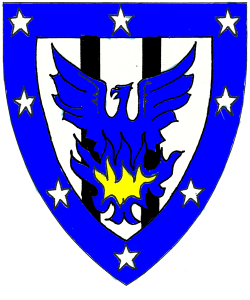 The arms of Christophe le Marchand