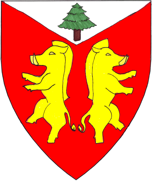 The arms of Cináed Ciabach