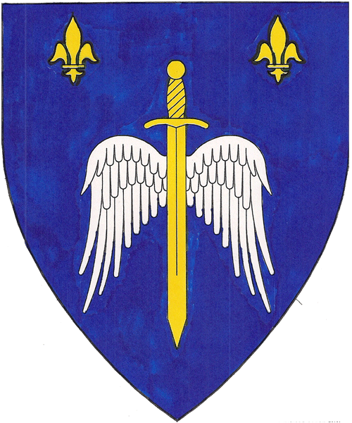 The arms of Davi d'Orléans