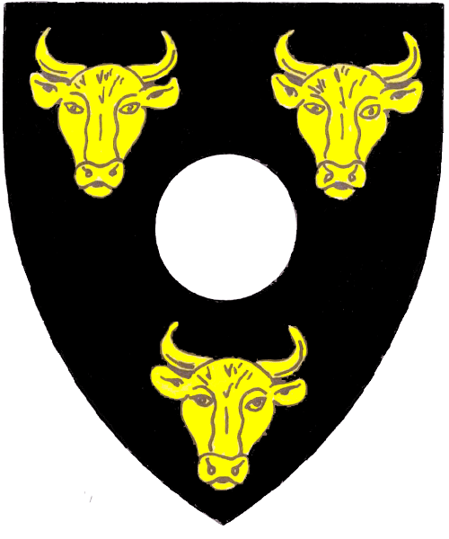 The arms of Domhnall mac Pharlain