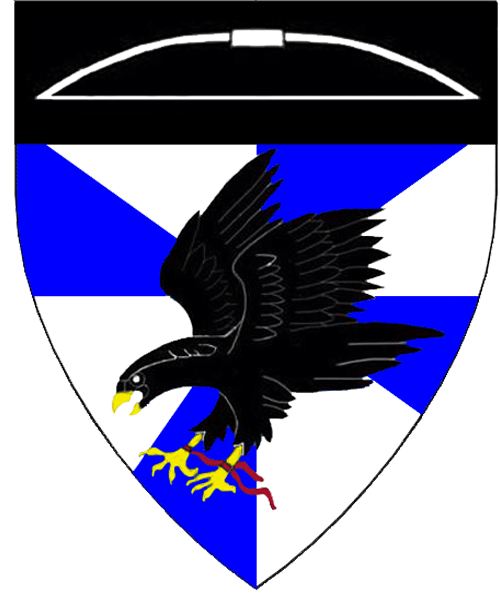 The arms of Drugo Riquart