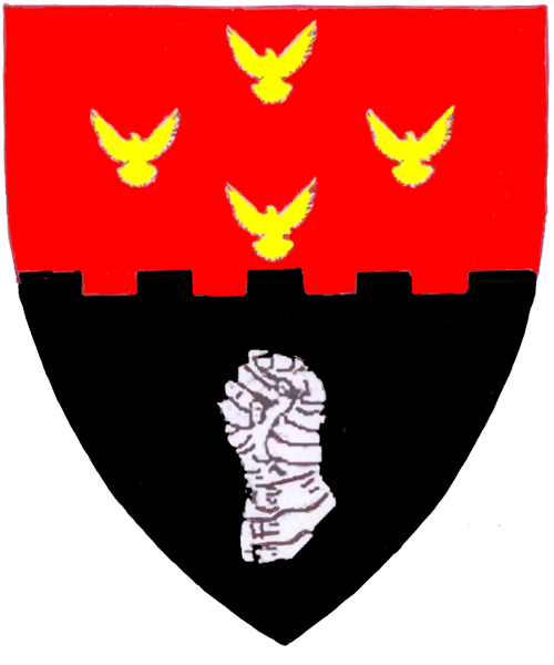 The arms of Duncan Falconer