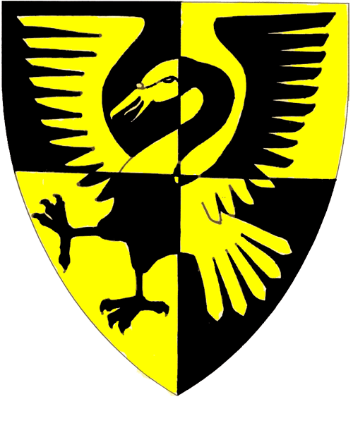 The arms of Eilidh Swann Stralachlan