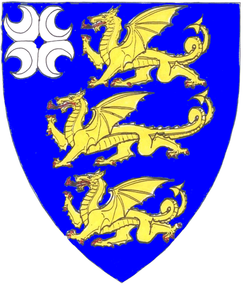 The arms of Éowyn Amberdrake