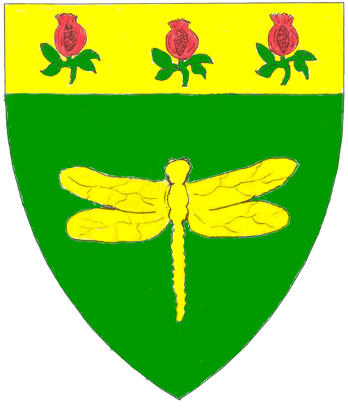 The arms of Faoiltighearna ní Dhuinn