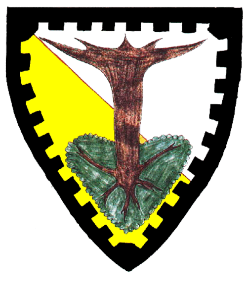 The arms of Ian MacDonald of Connacht