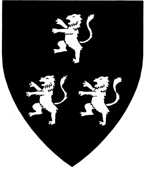 The arms of Johannes Mancino
