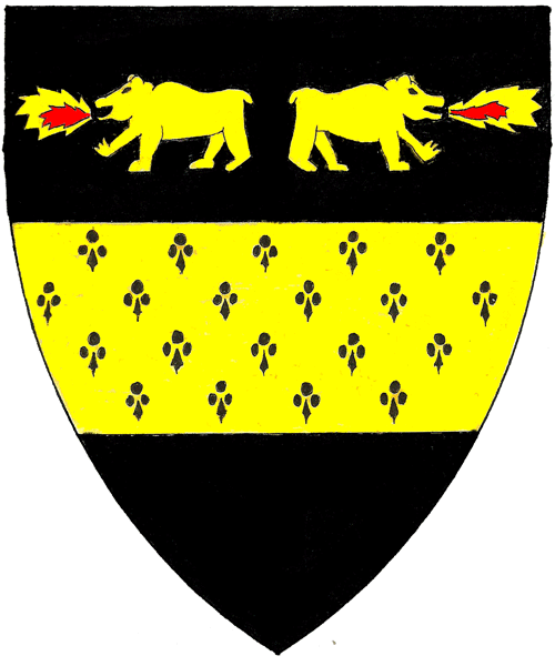 The arms of Johannes von Bern