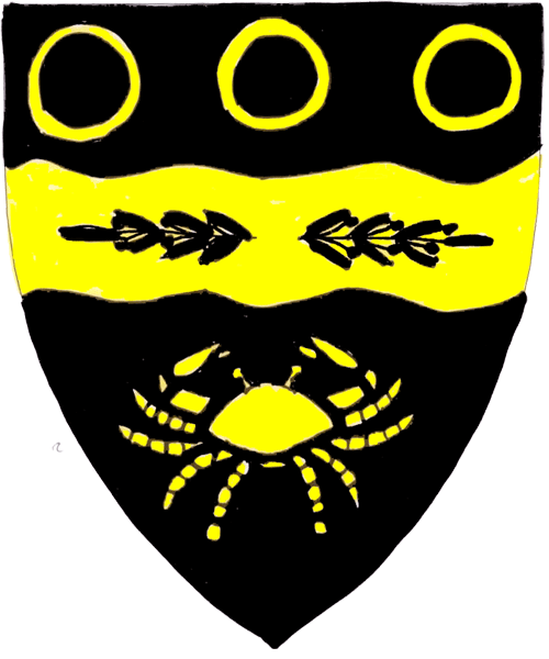 The arms of Laila Hannesone