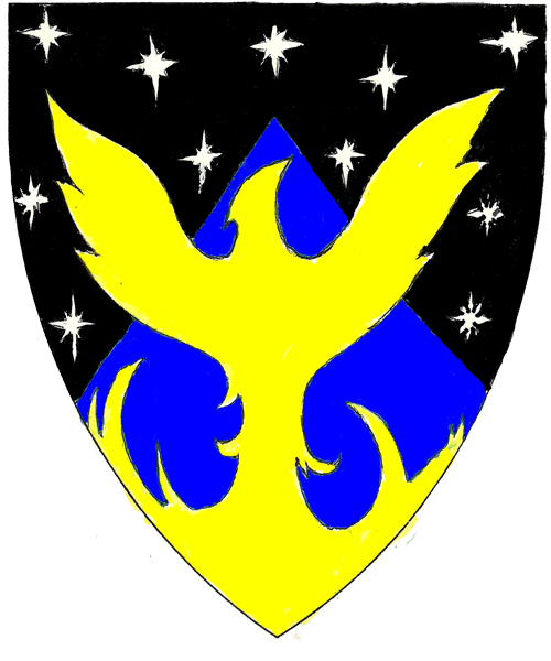 The arms of Maximillian d'Erembourg