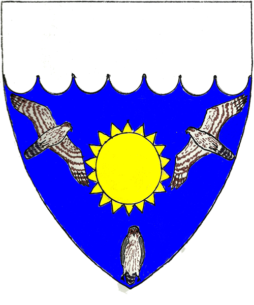 The arms of Merlin Falconer