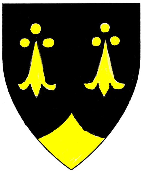 The arms of Robyn Founder