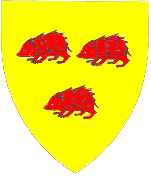 The arms of Rúadnat ingen Diarmada