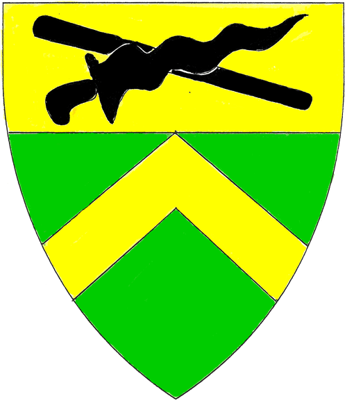 The arms of Shane Fitzedward