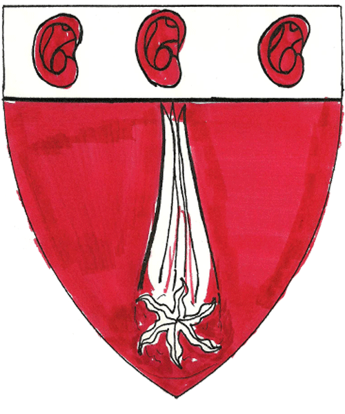 The arms of Simon of Gardengate House
