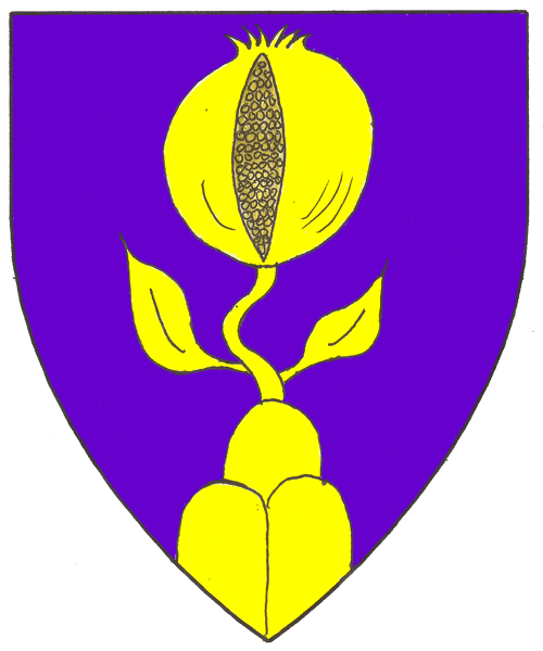 The arms of Sirus de Vincenzo
