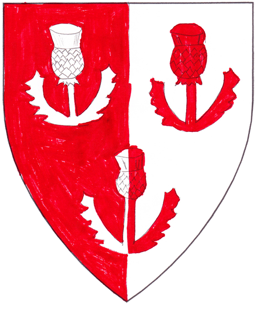 The arms of Stæina Hálfdanardóttir