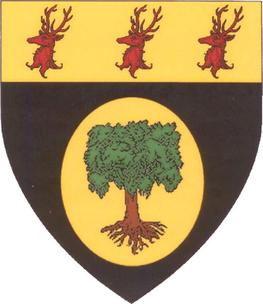 The arms of Tighearnach ua Catháin Átha Dara